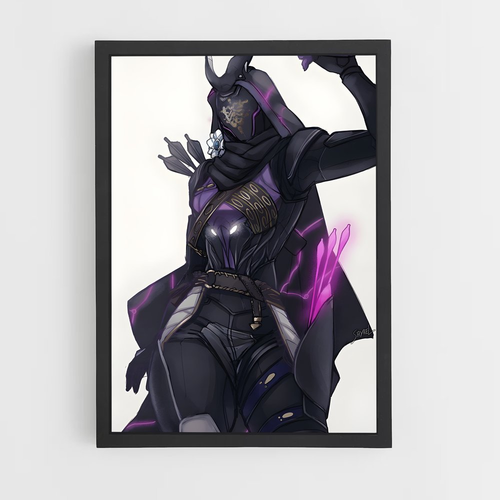 Poster Shadow Guardian – affiche Destiny (vue 2)